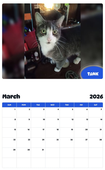 November 2025 - October 2026 TANK - Pawidols Pet Calendar