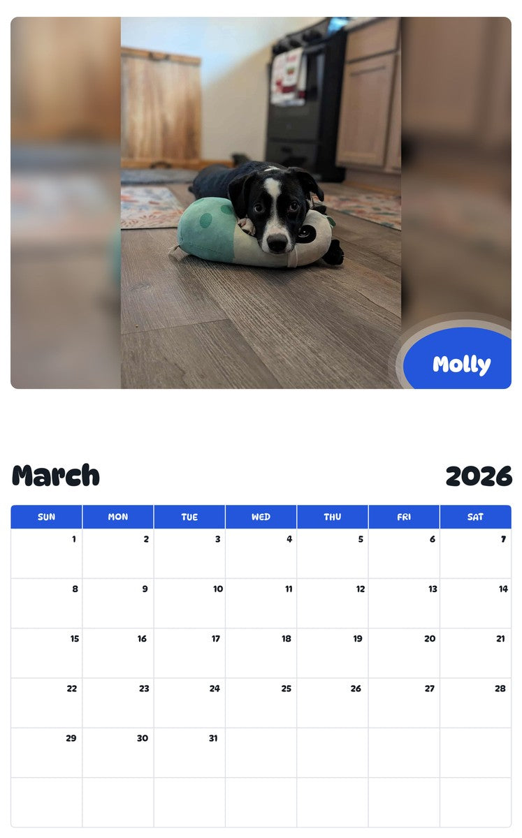 November 2025 - October 2026 Molly - Pawidols Pet Calendar
