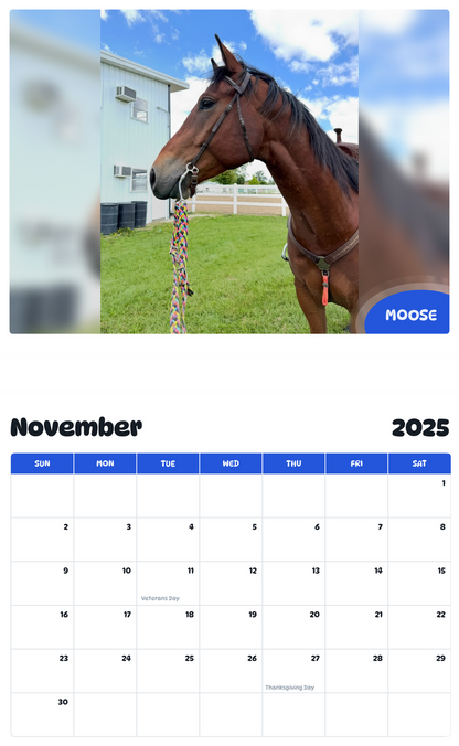 July 2025 - June 2026 Moose - Pawidols Pet Calendar