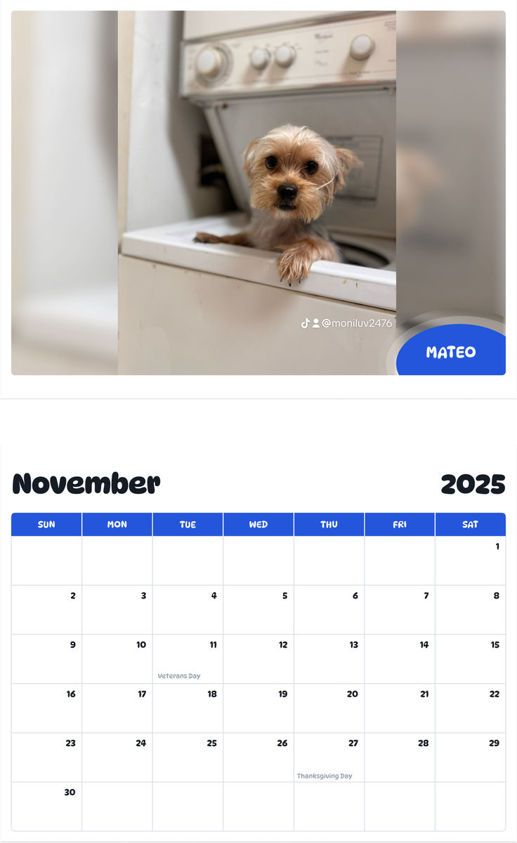 July 2025 - June 2026 Mateo - Pawidols Pet Calendar