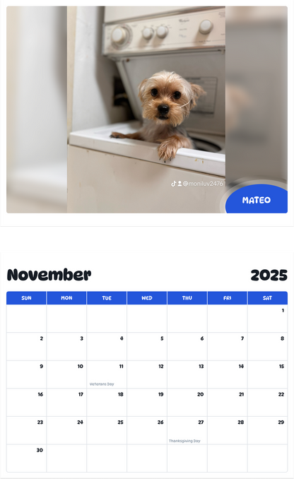 July 2025 - June 2026 Mateo - Pawidols Pet Calendar