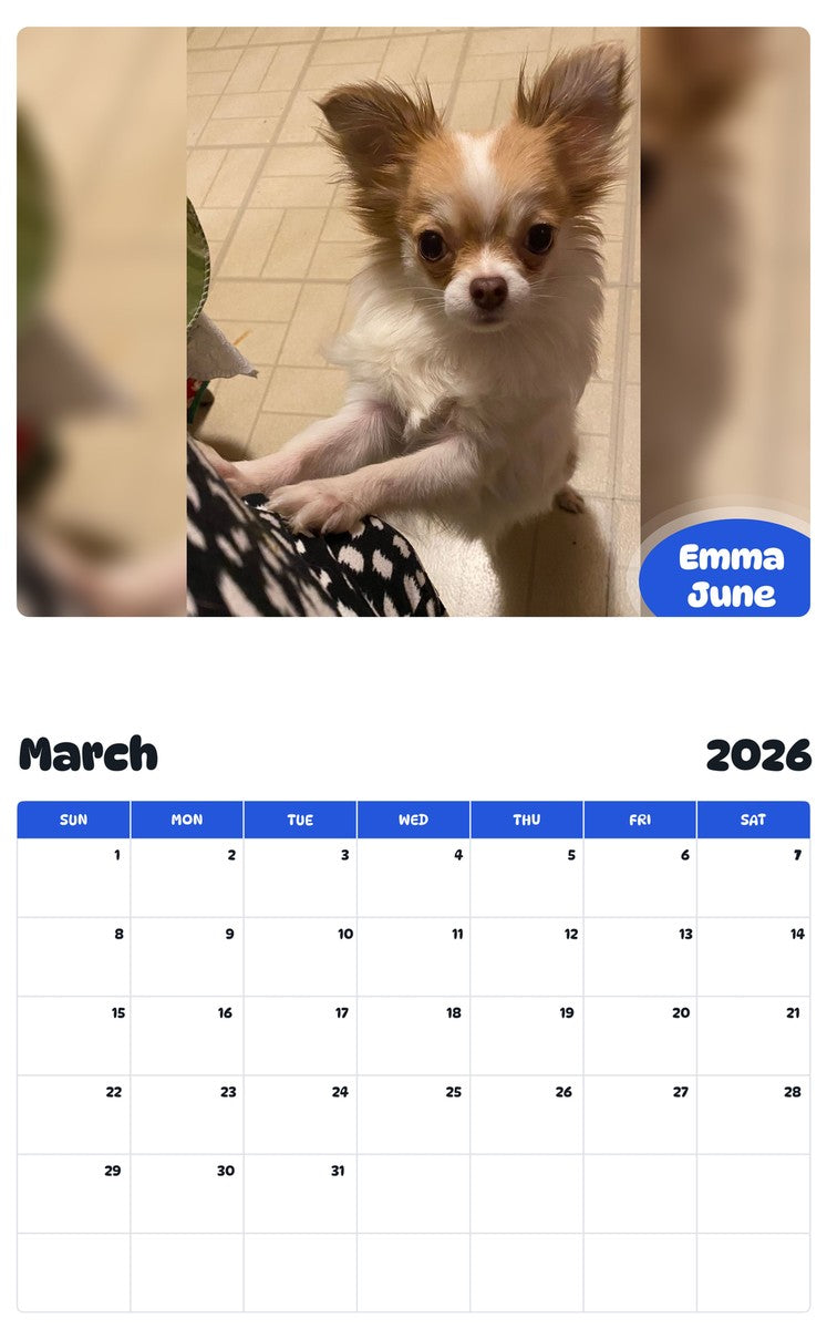 November 2025 - October 2026 Emma June - Pawidols Pet Calendar