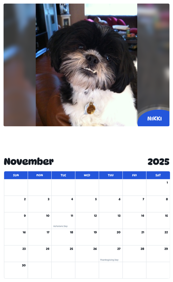 July 2025 - June 2026 Nikki - Pawidols Pet Calendar