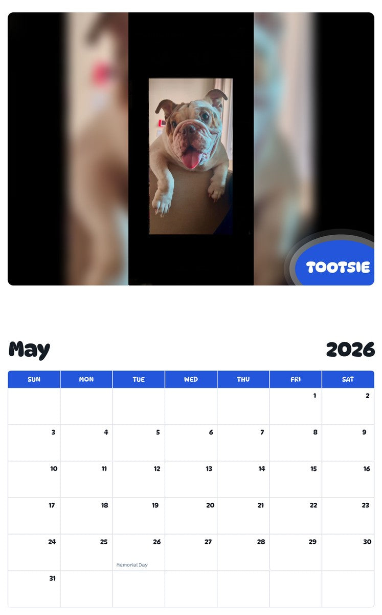 2026 - 2027 TOOTSIE - Pawidols Pet Calendar