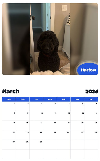 November 2025 - October 2026 Harlow - Pawidols Pet Calendar