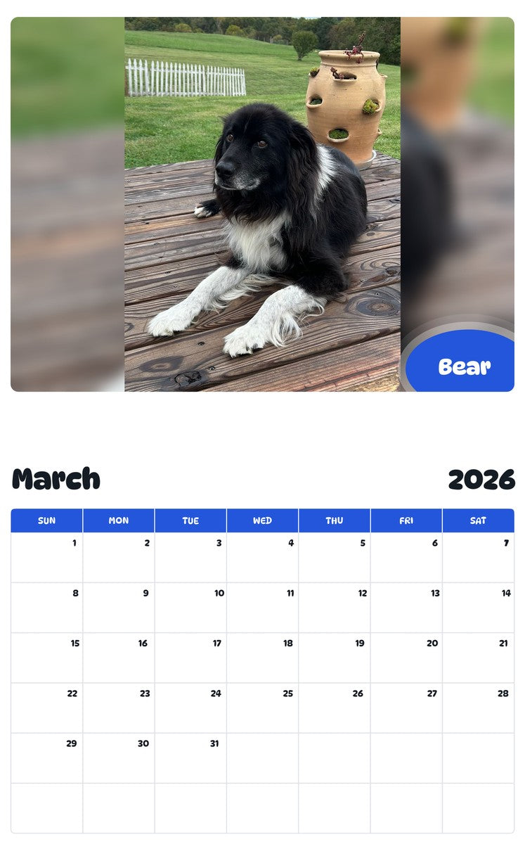 November 2025 - October 2026 Bear - Pawidols Pet Calendar
