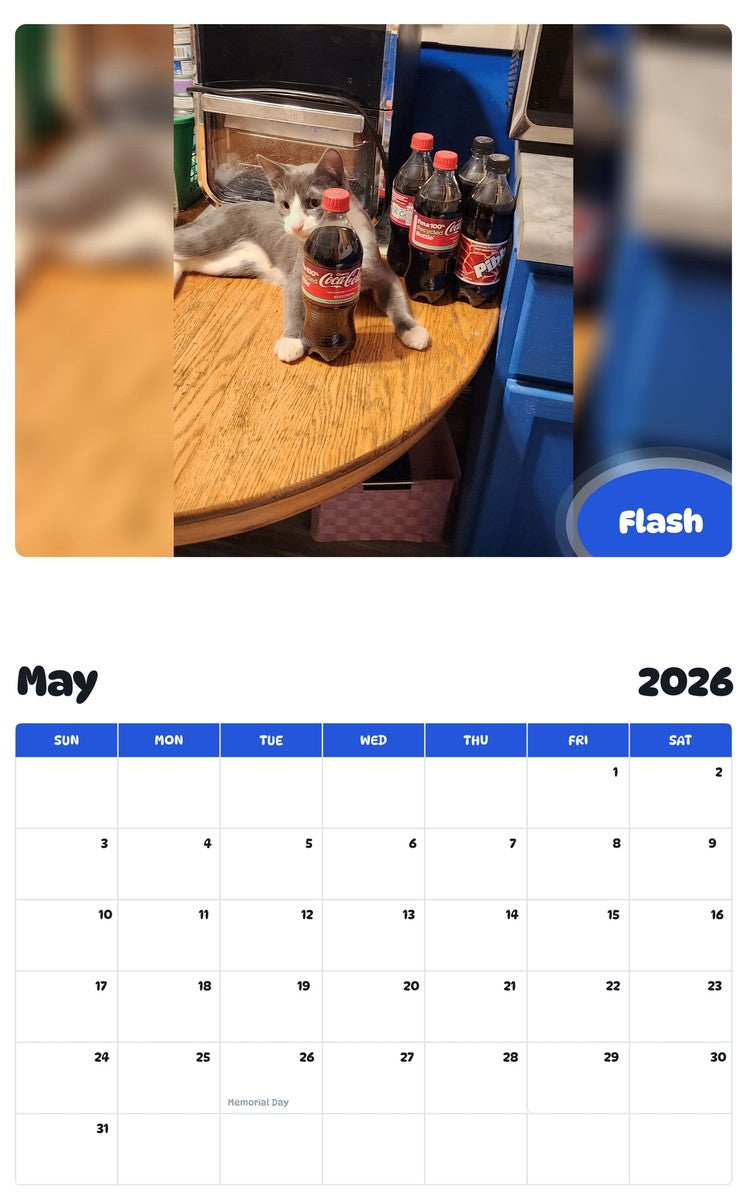 2026 - 2027 Flash - Pawidols Pet Calendar