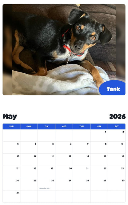2026 - 2027 Tank - Pawidols Pet Calendar