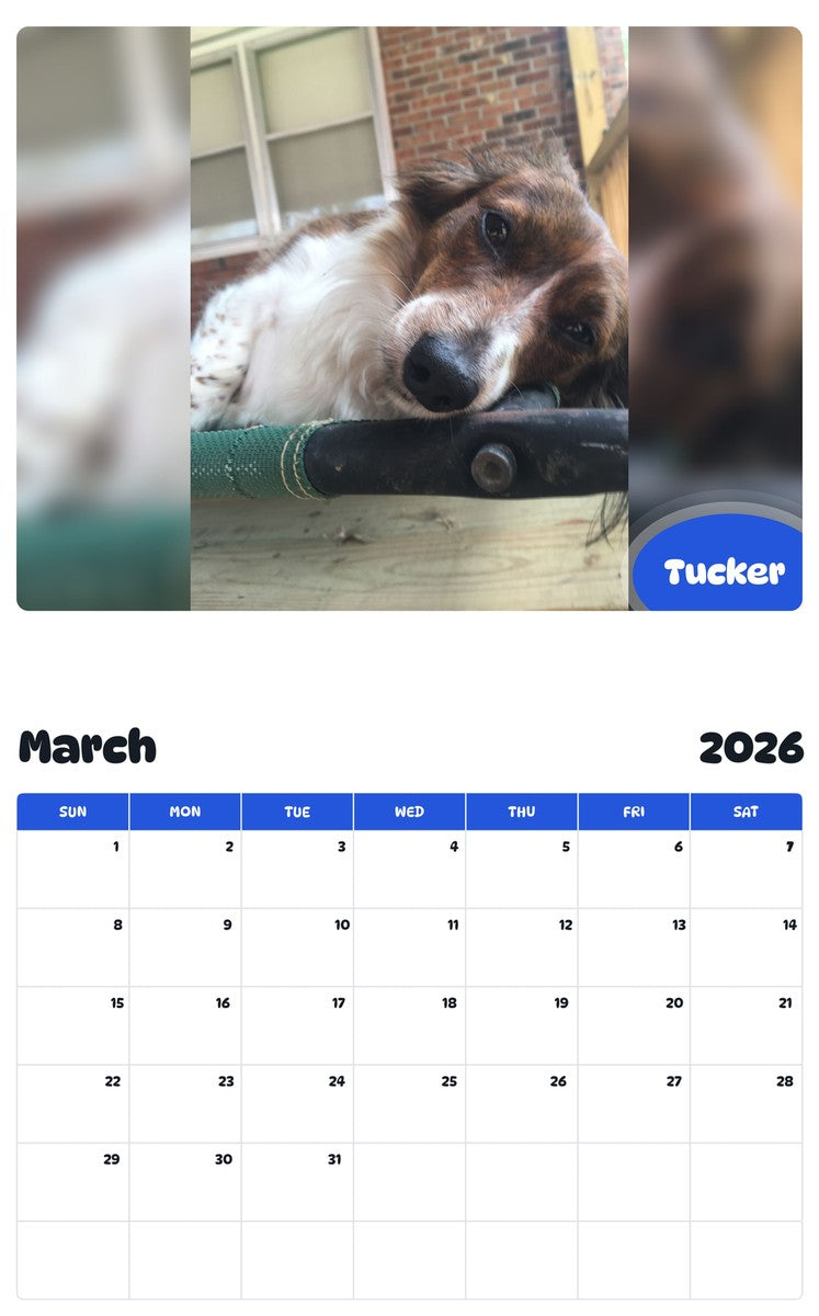 November 2025 - October 2026 Tucker - Pawidols Pet Calendar