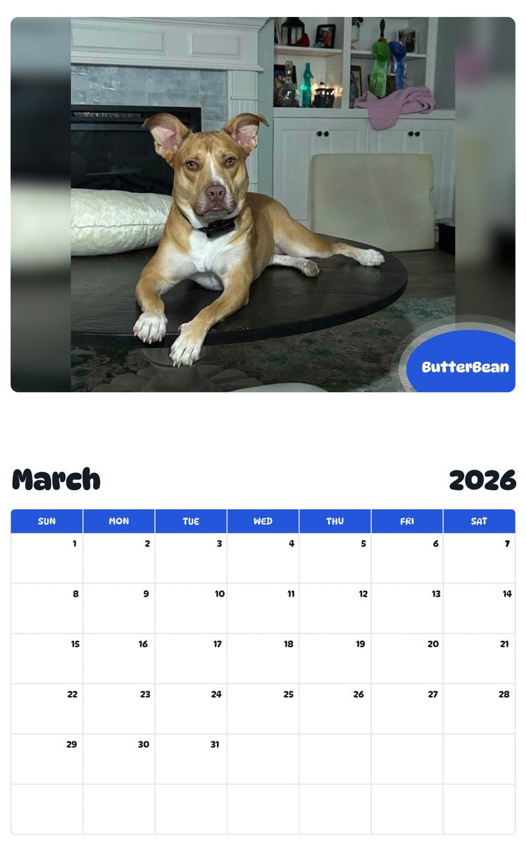 November 2025 - October 2026 ButterBean - Pawidols Pet Calendar