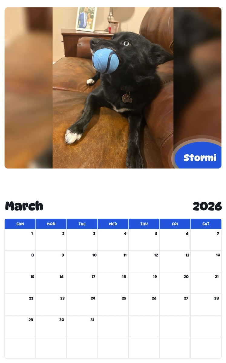 November 2025 - October 2026 Stormi - Pawidols Pet Calendar