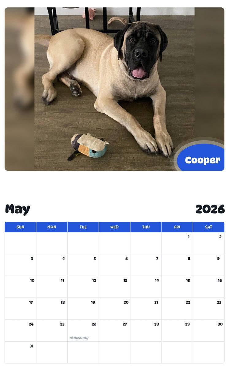 2026 - 2027 Cooper - Pawidols Pet Calendar