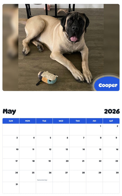 2026 - 2027 Cooper - Pawidols Pet Calendar