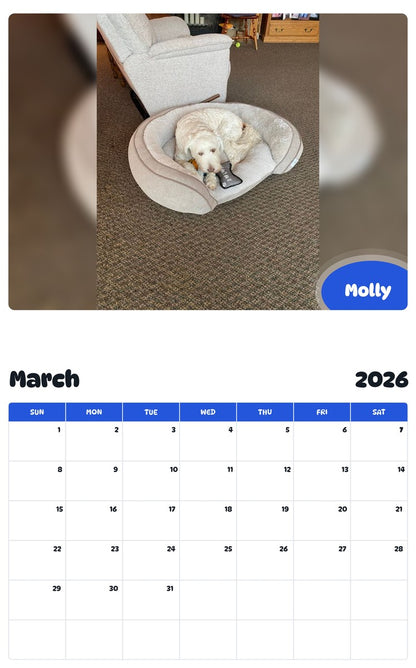 November 2025 - October 2026 Molly - Pawidols Pet Calendar