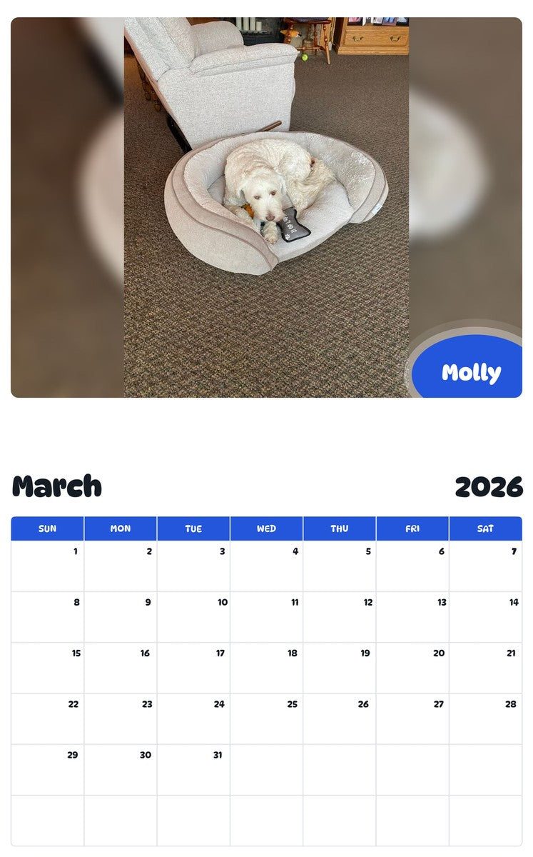 November 2025 - October 2026 Molly - Pawidols Pet Calendar