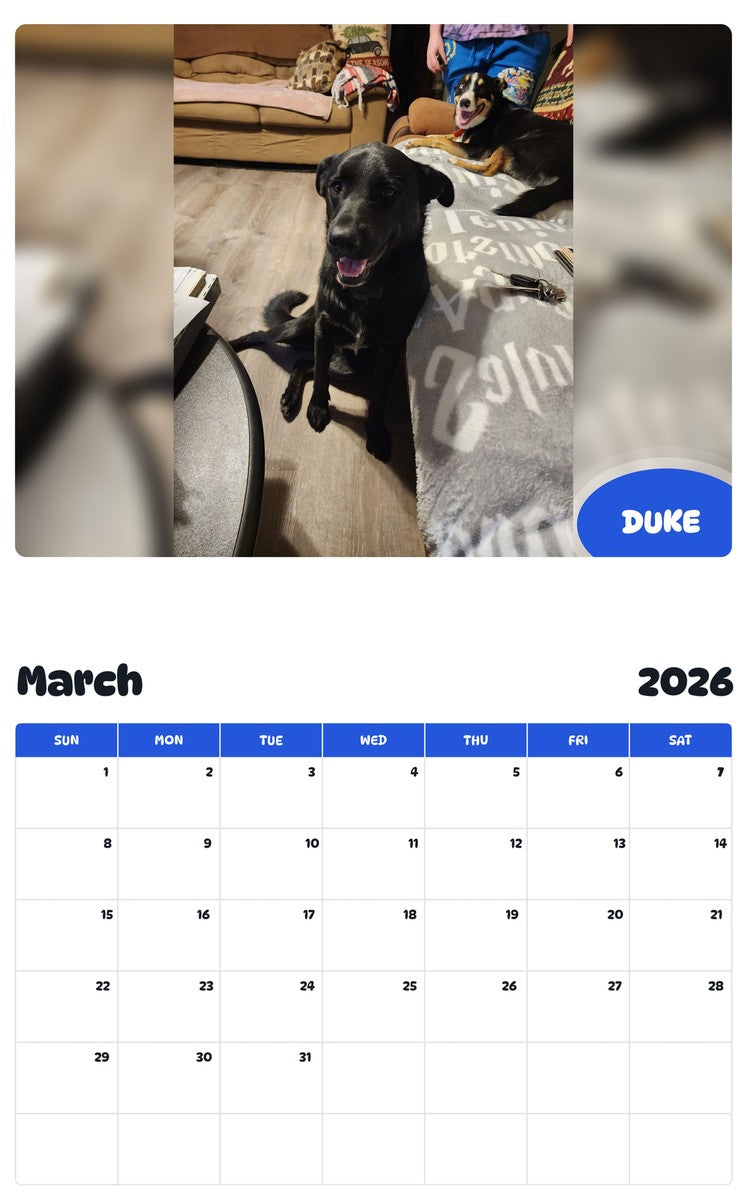 November 2025 - October 2026 DUKE - Pawidols Pet Calendar