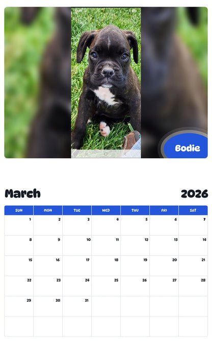 November 2025 - October 2026 Bodie - Pawidols Pet Calendar