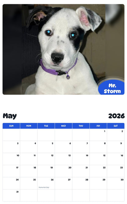 2026 - 2027 Mr. Storm - Pawidols Pet Calendar