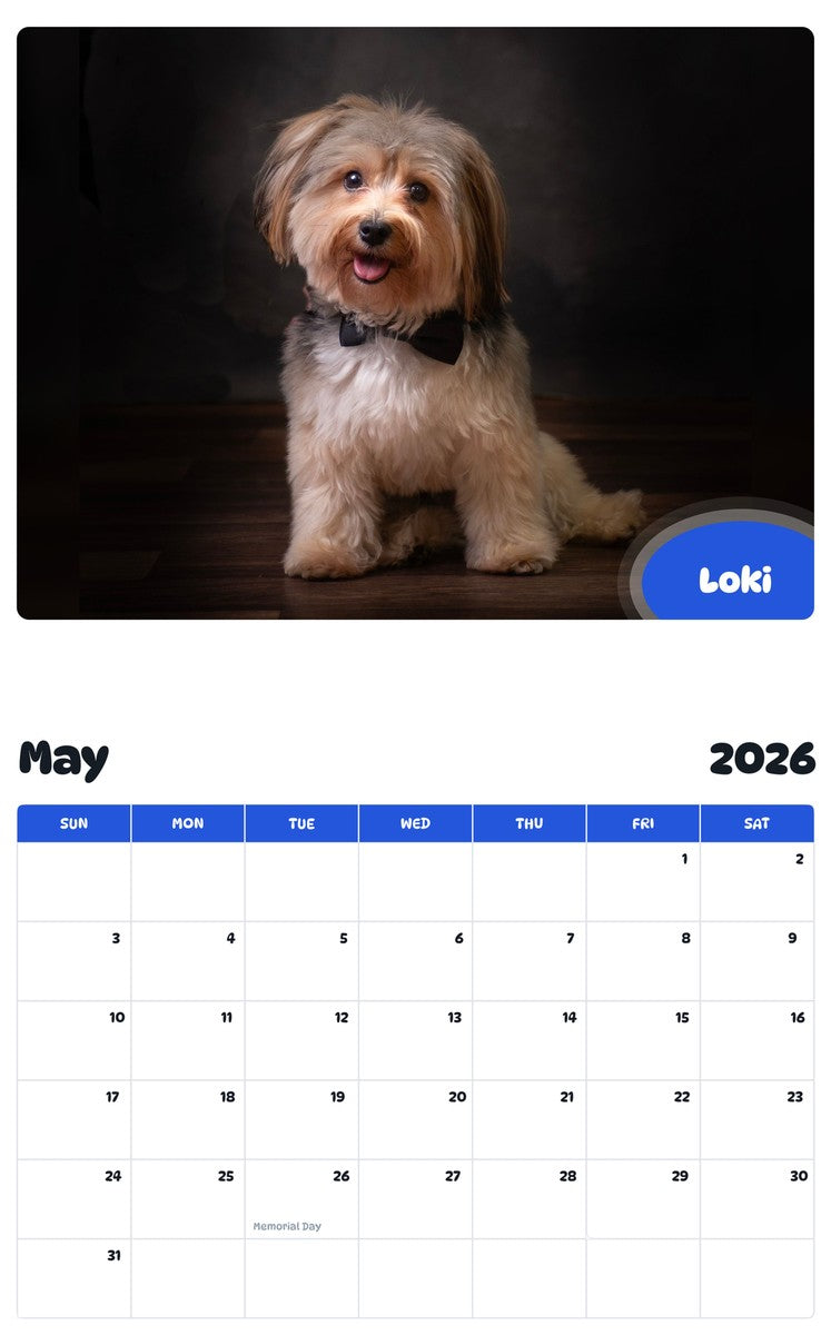 2026 - 2027 Loki - Pawidols Pet Calendar