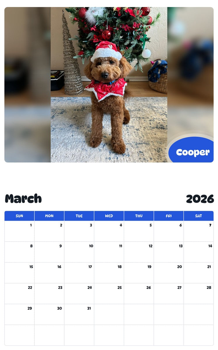 November 2025 - October 2026 Cooper - Pawidols Pet Calendar