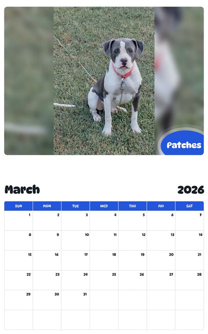 November 2025 - October 2026 Patches - Pawidols Pet Calendar