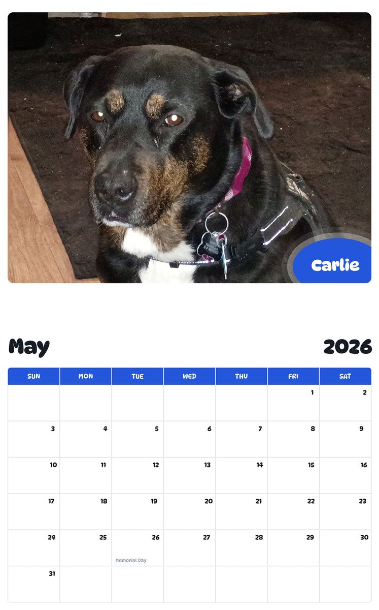 2026 - 2027 Carlie - Pawidols Pet Calendar