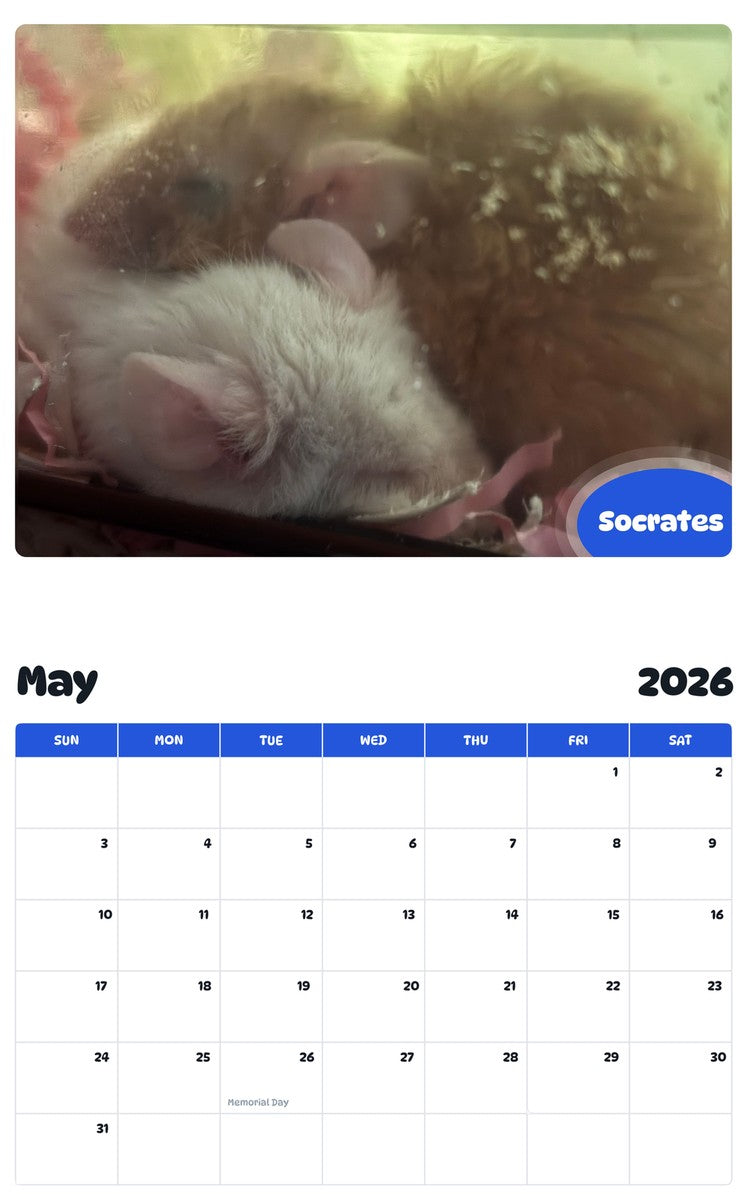 2026 - 2027 Socrates - Pawidols Pet Calendar
