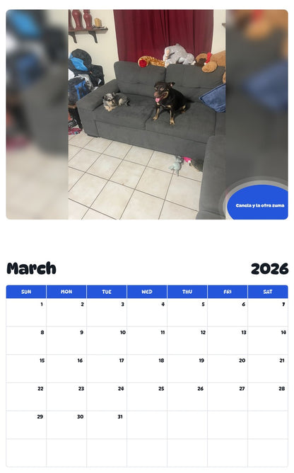 November 2025 - October 2026 Canela y la otra zuma - Pawidols Pet Calendar