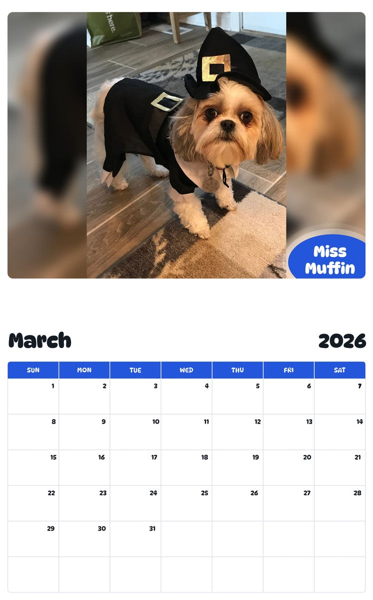 November 2025 - October 2026 Miss Muffin - Pawidols Pet Calendar