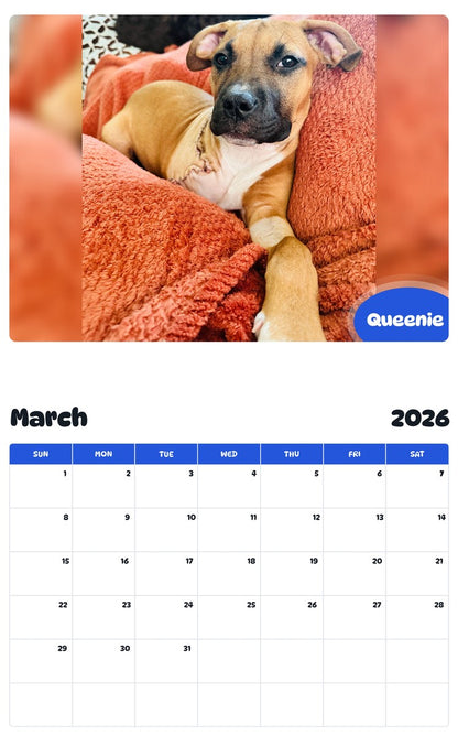 November 2025 - October 2026 Queenie - Pawidols Pet Calendar