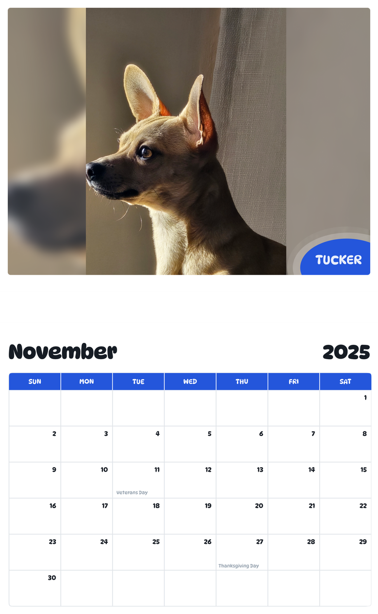 July 2025 - June 2026 Tucker - Pawidols Pet Calendar