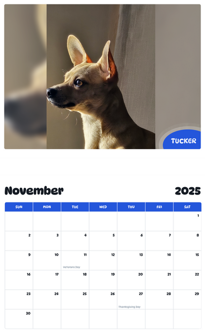 July 2025 - June 2026 Tucker - Pawidols Pet Calendar