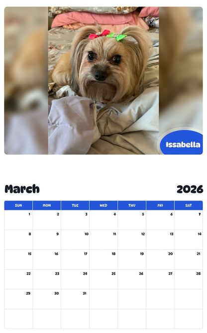 November 2025 - October 2026 Issabella - Pawidols Pet Calendar