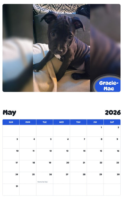 2026 - 2027 Gracie-Mae - Pawidols Pet Calendar