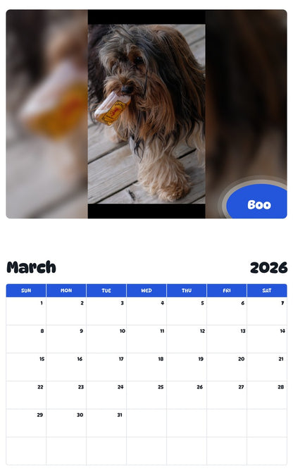 November 2025 - October 2026 Boo - Pawidols Pet Calendar