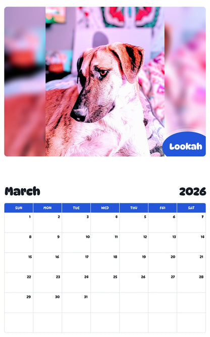November 2025 - October 2026 Lookah - Pawidols Pet Calendar