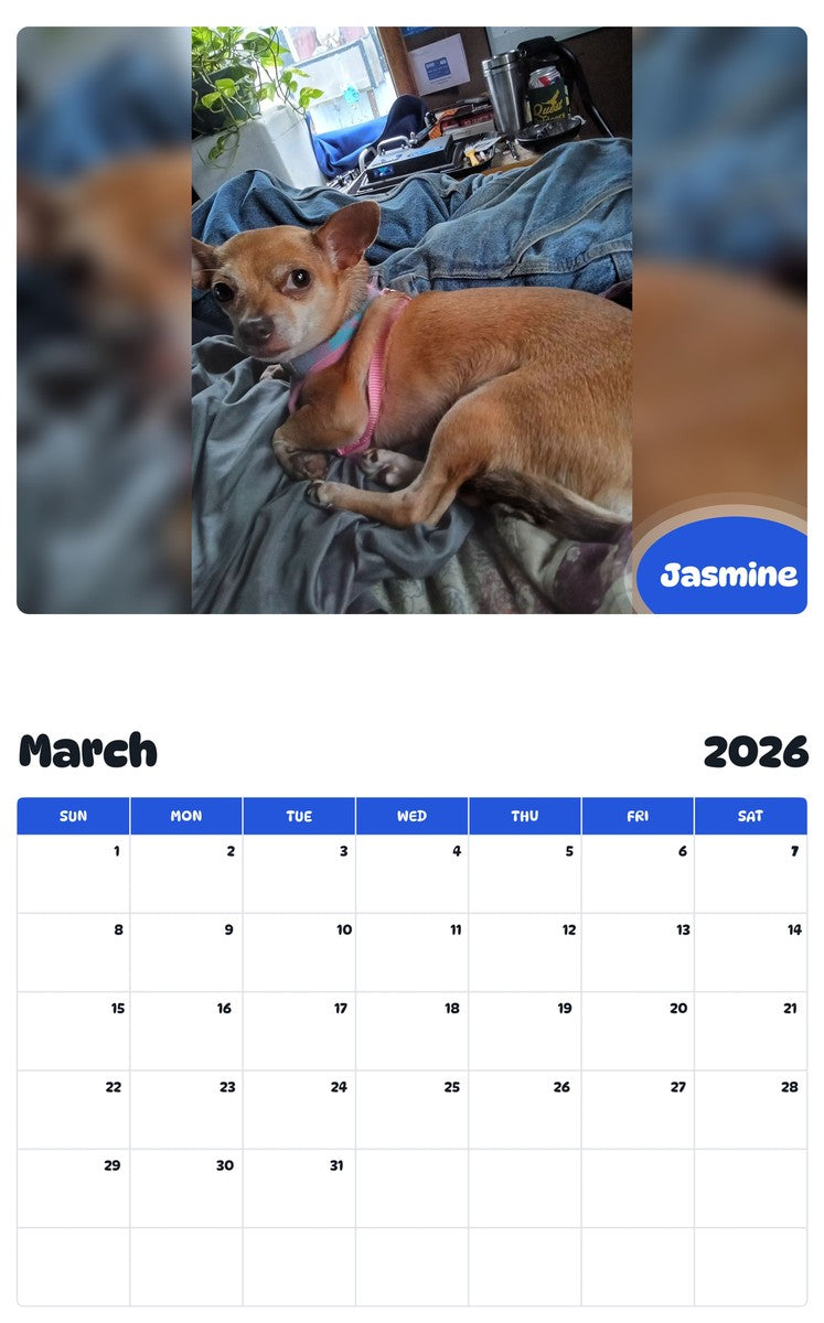 November 2025 - October 2026 Jasmine - Pawidols Pet Calendar