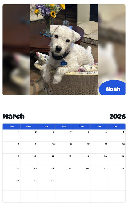 November 2025 - October 2026 Noah - Pawidols Pet Calendar