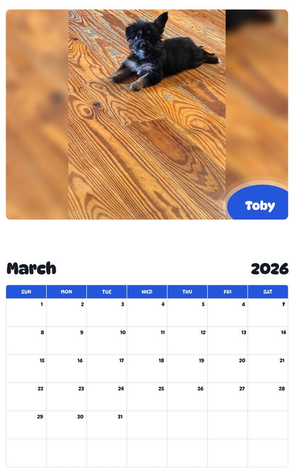 November 2025 - October 2026 Toby - Pawidols Pet Calendar