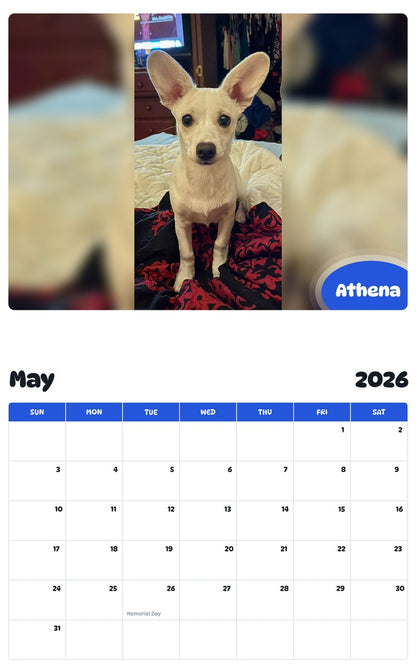 2026 - 2027 Athena - Pawidols Pet Calendar