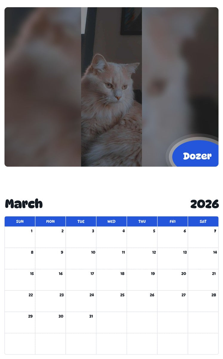 November 2025 - October 2026 Dozer - Pawidols Pet Calendar