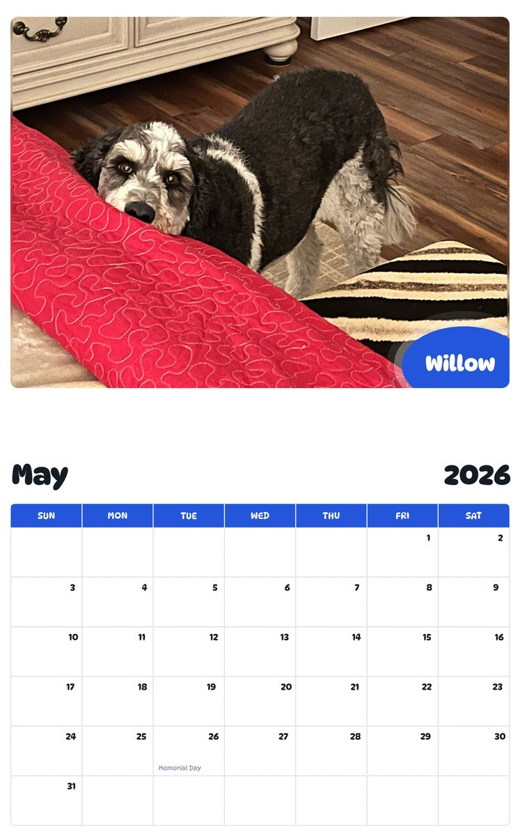 2026 - 2027 Willow - Pawidols Pet Calendar