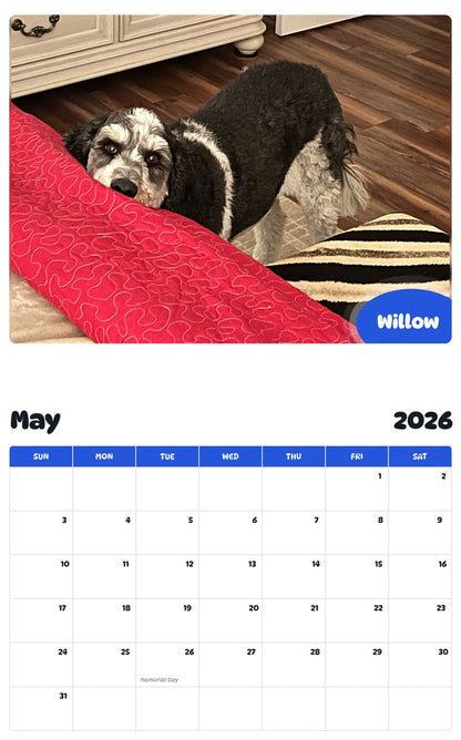 2026 - 2027 Willow - Pawidols Pet Calendar