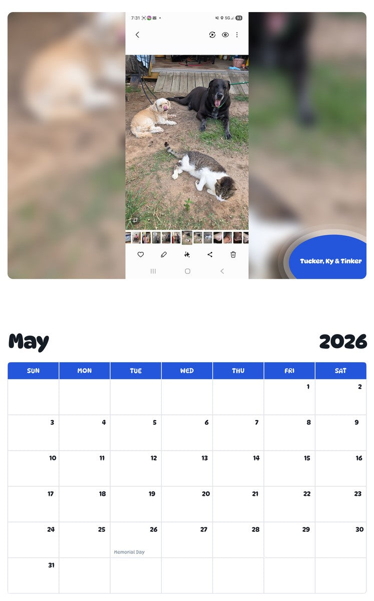 2026 - 2027 Tucker, Ky & Tinker - Pawidols Pet Calendar