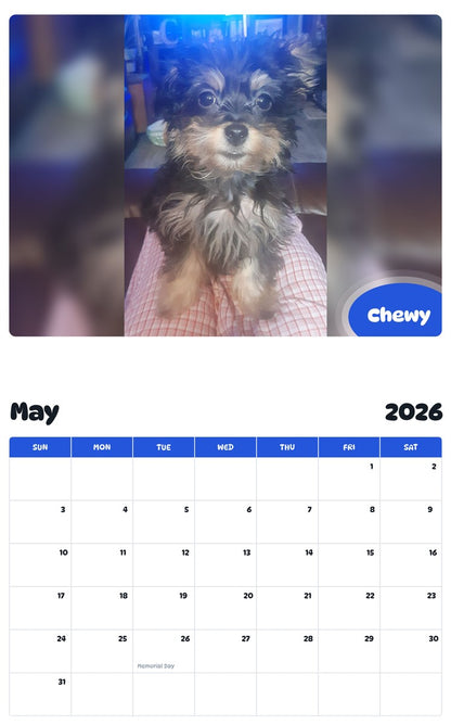 2026 - 2027 Chewy - Pawidols Pet Calendar