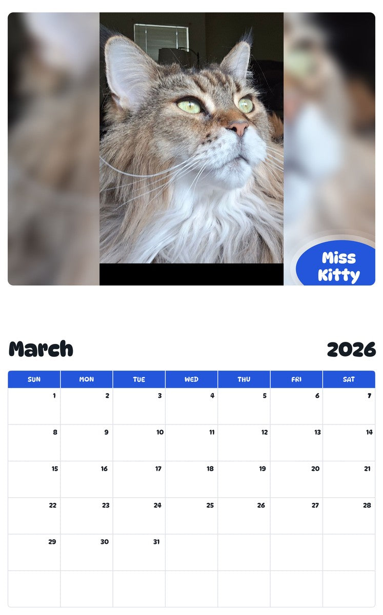 November 2025 - October 2026 Miss Kitty - Pawidols Pet Calendar