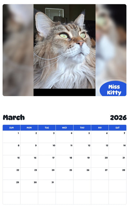 November 2025 - October 2026 Miss Kitty - Pawidols Pet Calendar