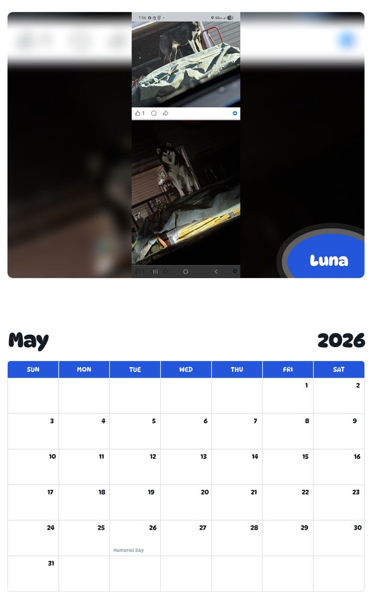 2026 - 2027 Luna - Pawidols Pet Calendar