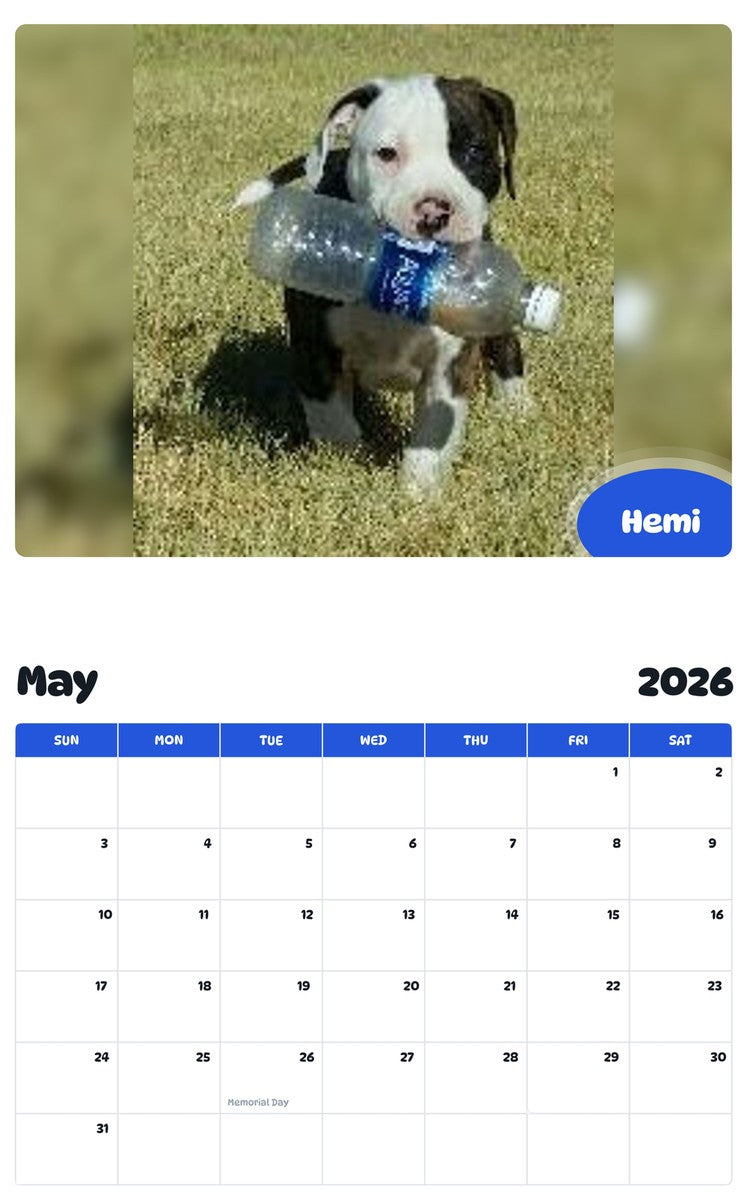 2026 - 2027 Hemi - Pawidols Pet Calendar