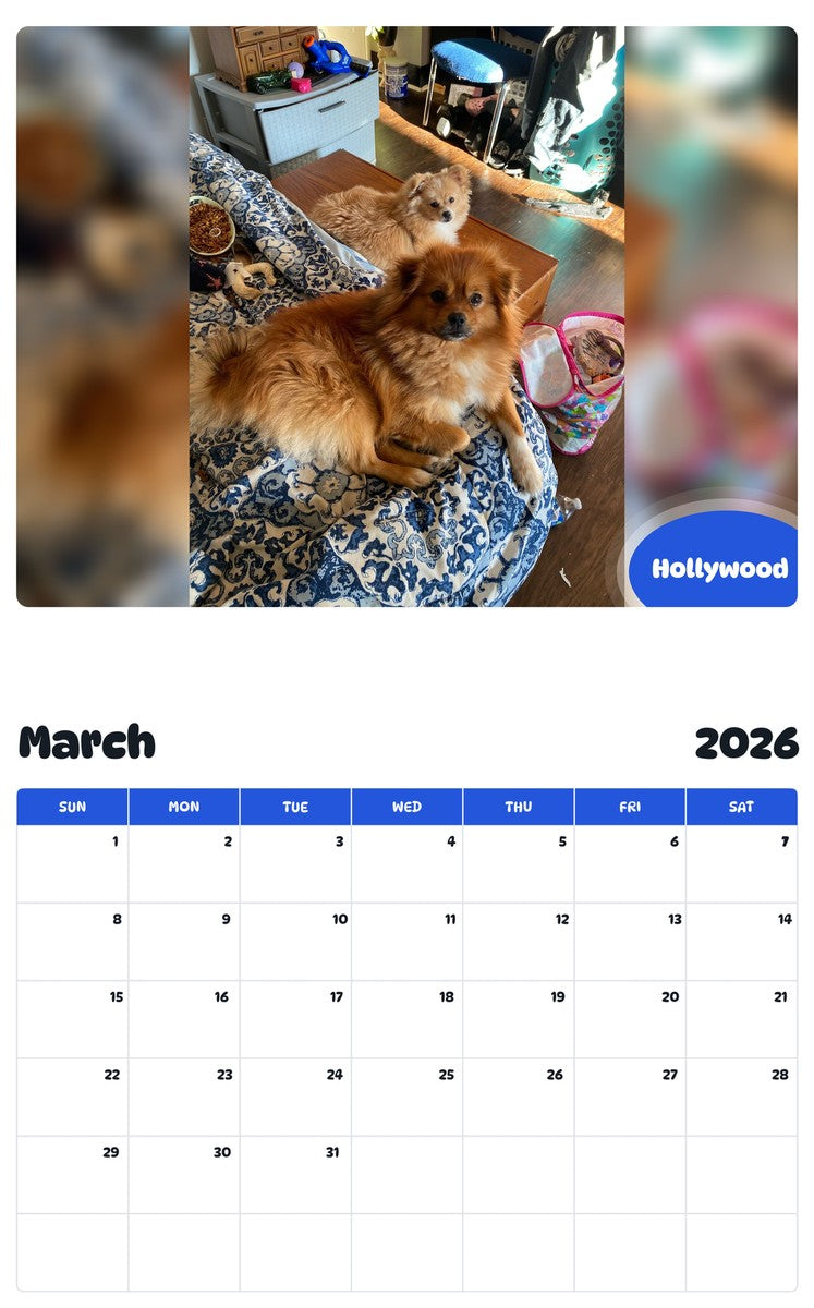 November 2025 - October 2026 Hollywood - Pawidols Pet Calendar